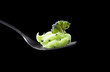 puree of broccoli on a fork