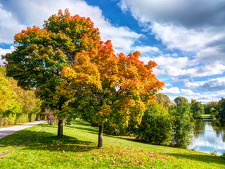 Wall Mural - herbst