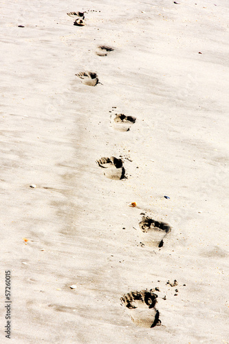 Naklejka dekoracyjna Footprints in the sand on the beach