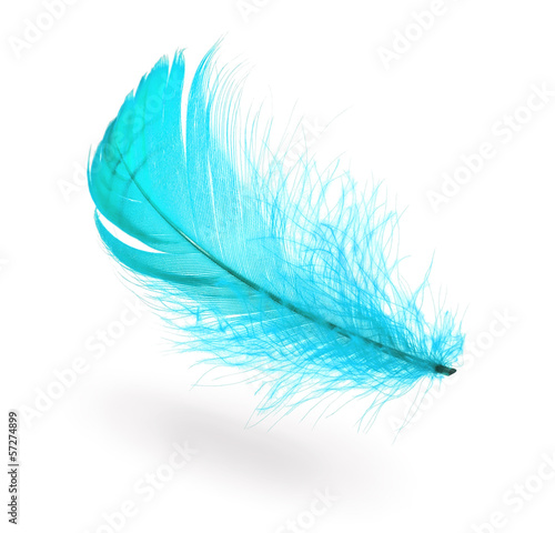 Obraz w ramie Light blue feather