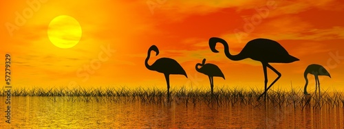 Plakat na papierze fotorealistycznym Flamingi przez zachód słońca - 3d render