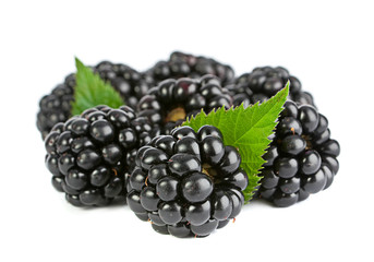 Wall Mural - Blackberry fruit