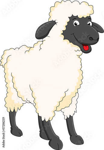 Plakat na zamówienie smiling sheep cartoon