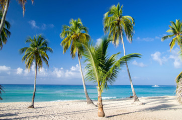 Canvas Print - tropical beach