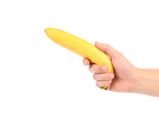 Wall Mural - Hand holds banana