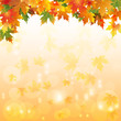 Осенние листья с каплями воды и разноцветным оранжевым фоном