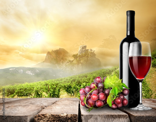 Obraz na płótnie canvas dwuczęściowy "dyptyk" Wino i winnica