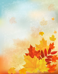 Poster - Abstract retro autumn background for your design. Vector