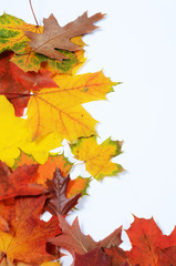 Poster - autumn leaves with space for your text