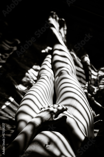 Fotografía  Soleil à travers le store