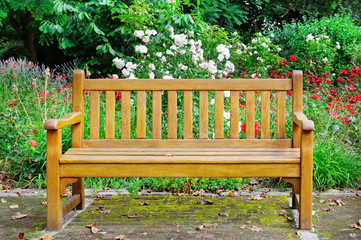 Wooden bench in the autumn park