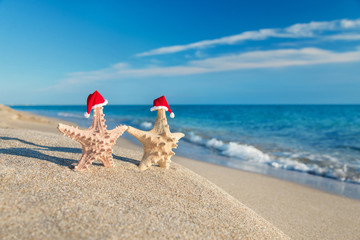 Canvas Print - Sea-stars couple in santa hats walking at beach. Holiday concept