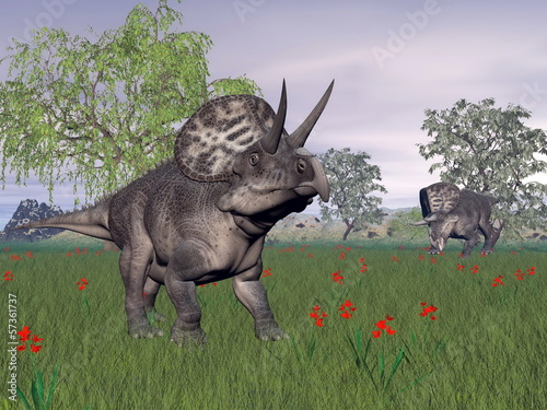 Fotoboard na płycie Zuniceratops dinozaury w przyrodzie - 3d render