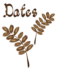 Wall Mural - dates