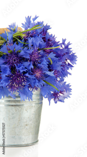 Board z aluminiowym obramowaniem Bukiet cornflowers w wiaderku, odizolowywającym na bielu