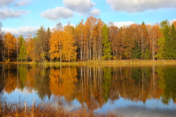 Wall Mural - Autumn landscape on lake