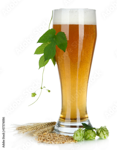 Fototapeta na wymiar Glass of beer and hops, isolated on white