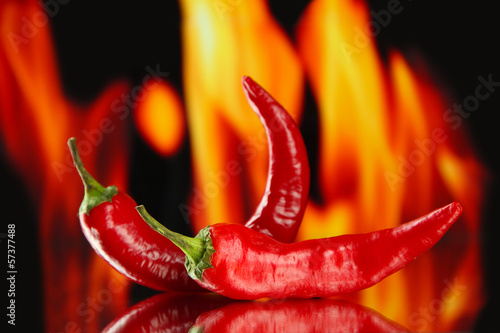 Fotografie, Obraz Red hot chili peppers on fire background