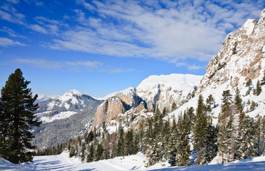 Canvas Print - Ski resort of Selva di Val Gardena, Italy