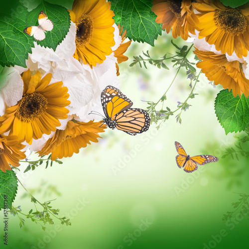 Board z aluminiowym obramowaniem Wielobarwne stokrotki gerbera i motyl na białym