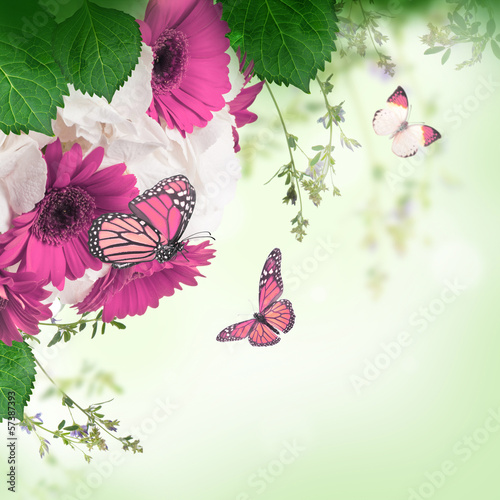 Board z aluminiowym obramowaniem Wielobarwne stokrotki gerbera i motyl na białym