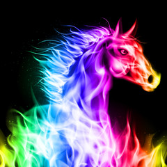 Wall Mural - Colorful fire horse.