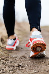 Wall Mural - Walking or running legs sport shoes