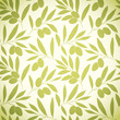 Vector pattern olive branch .For labels, packaging.