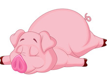 Cute Pig Cartoon Sleeping