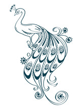 Illustration With Stylized Ornamental Peacock