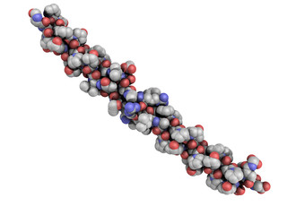 Wall Mural - Chemical structure of a collagen model protein