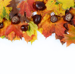 Poster - autumn leaves and chesnuts with scpae for your text