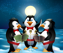Night Song Of Penguins