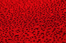 Red Water Drops On Water-repellent Surface