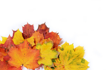 Poster - autumn leaves with space for your text