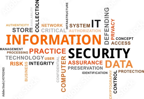 Plakat na zamówienie word cloud - information security