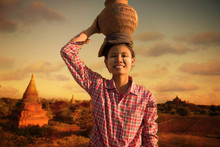 Happy Asian Traditional Farmer Harvest At Myanmar, Bagan Carryin