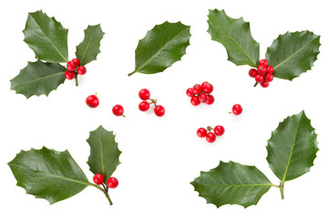Wall Mural - holly leaves and berries