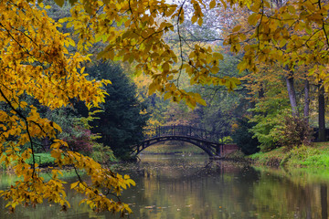 Poster - Autumn - Old bridge in autumn misty park