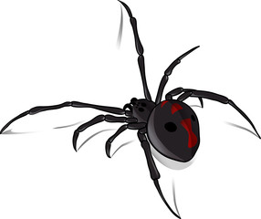 Black Widow Vector 2