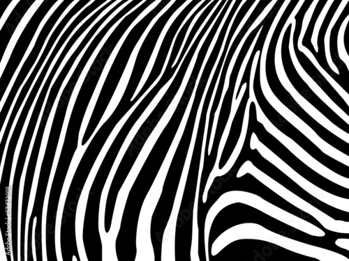 Dekoracja na wymiar  zebra