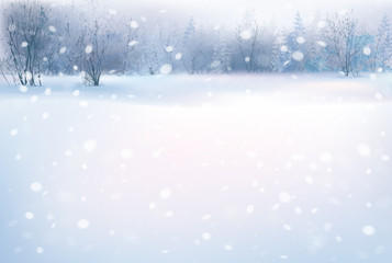 Wall Mural - Vector of winter scene with forest background.