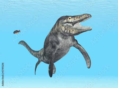 Fotoboard na płycie Mezasaur tylosaurus