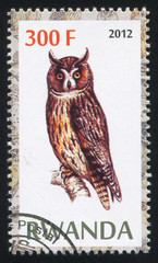 Sticker - Owl