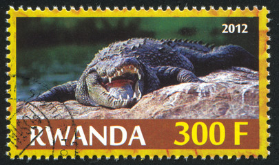 Sticker - Crocodile