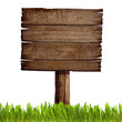 old wood sign board with grass isolated
