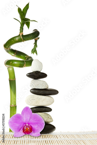 Tapeta ścienna Purpurowa orchidea i bambus