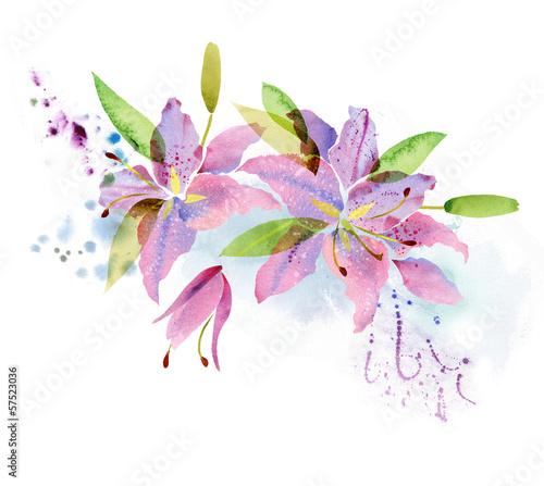 Fototapeta do kuchni Watercolor lily