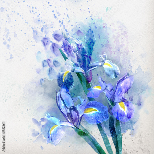 Fototapeta na wymiar Watercolor iris