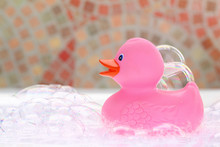 Pink Rubber Duck In Bath Foam